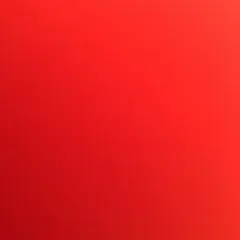 専用