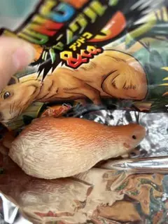 アンドコ ジャングル