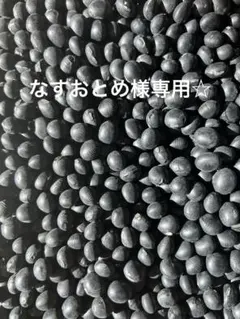 なすおとめ様専用☆