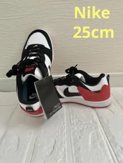 【新品未使用】Nike ナイキ SB alleyoop スニーカー 25cm
