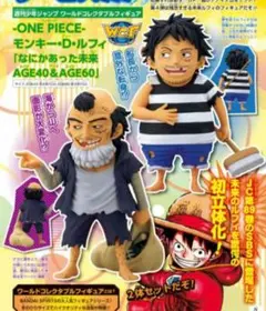 応募者全員サービスモンキー・D・ルフィなにかあった未来 AGE40&AGE60