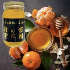 Item thumbnail for item ad19f9ea-4fbe-4283-8522-f7a68841c627