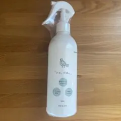 비둘기 없음