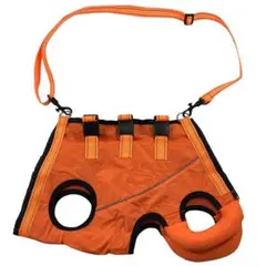 Item thumbnail for item 8e8a5ae8-d1f0-482d-a52a-881b1522a436