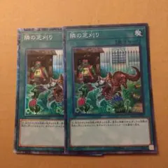隣の芝刈り コレクターズレア2枚セット