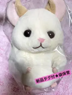 Item thumbnail for item 098ca9a4-fe69-468b-907e-eb78145af7f0