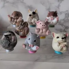 動物 フィギュア 8種セット ガチャ