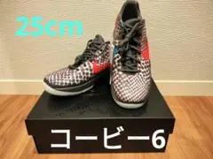 Nike バスケットボールシューズ スネークスキン 25cm