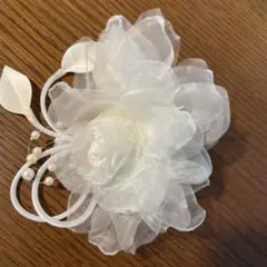 Item thumbnail for item 4aa17394-49b3-4f50-ad46-111f6ba9c2f5