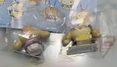 シナモンロール　くら寿司　カプチーノ　シフォン　フィギュア　2点　未開封