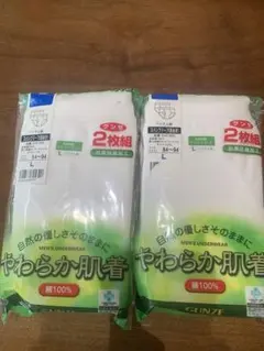 GUNZE　 男性用白ブリーフ　 Lサイズ　 2枚組×２セット　抗菌防臭加工