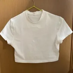 Item thumbnail for item b532fb13-0bb5-4d04-8491-9365a01a2752