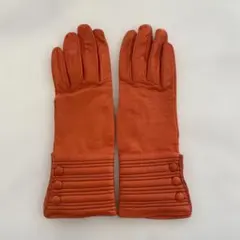 2026年最新】セルモネータグローブスの人気アイテム - メルカリ