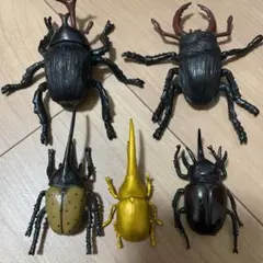 2026年最新】ノコギリクワガタ標本の人気アイテム - メルカリ