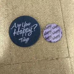嵐「Are You Happy?」 缶バッチ 東京 紫