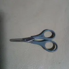 2026年最新】笹刃シザーの人気アイテム - メルカリ