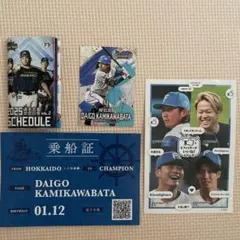 Item thumbnail for item 0ad26eda-8260-47f8-a216-fda91022f224