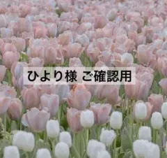 ひより様 ご確認用