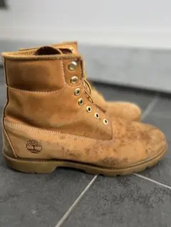 Item thumbnail for item bd4e8a59-42ac-4436-9f79-940e9e554195