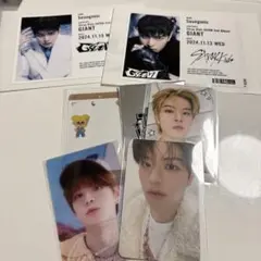 Stray Kids スンミン　特典カード　ラベル缶