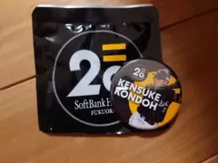 E 福岡ソフトバンクホークス