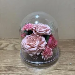 新名旬平プリザーブドフラワー - メルカリ