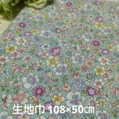 Item thumbnail for item 411eb6cc-77f5-4839-8213-67ad62452e90