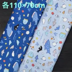 Item thumbnail for item 736da2d1-0e9f-4418-bfee-d5feaeb282af