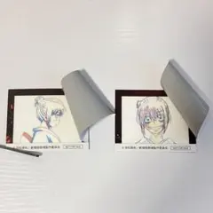 新劇場版 銀魂 吉原大炎上 特典 神楽