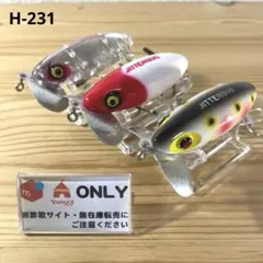 SAVAGE 鬼頭魚 ダイビングペンシル 23cm 未使用 ビッグゲー - メルカリ