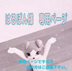 はるぽん様　専用ページ