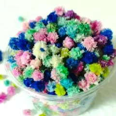 かすみ草ドライフラワー　　　　　　　　花材　フラワーアレンジメント