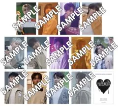 SEVENTEEN 消費期限 東京会場限定 ユニバ特典 13枚コンプリートセット