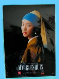 「マウリッツハイス美術館展」の武井咲さんフェルメールクリアファイル非売品