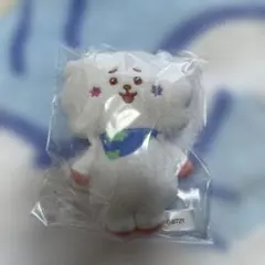 BT21 Fuwa Fuwa Mascot★4 RJ