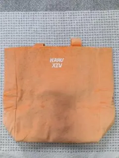 超特急　REAL？トートバッグ　ハル