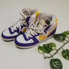 Item thumbnail for item 63fa82f4-2553-4bf3-8d69-287a8e1e4cba