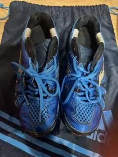 Item thumbnail for item 89184872-452b-4936-b1d2-d84ede41ee60