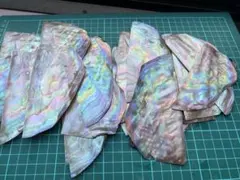 黒蝶貝　5枚　大板　平ら　螺鈿細工　ハンドメイド　ルアーアクセサリー素材