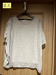 Item thumbnail for item df067d12-4e2a-4916-a7b6-b30d75225e3d