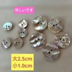 2026年最新】珍しい貝の人気アイテム - メルカリ