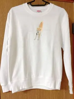 Item thumbnail for item 57ee32c8-5a14-41c5-b7aa-9cff427ccf1f