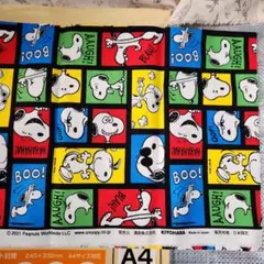 Item thumbnail for item 7b14cce6-a206-46f1-bcec-116bd671e1b0