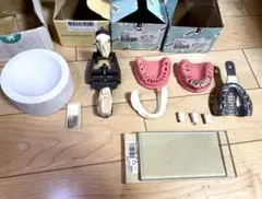 Item thumbnail for item 66193ff7-da6e-4ae6-8731-7494674b8616