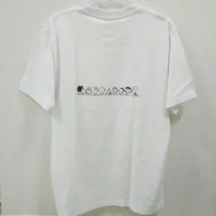 Item thumbnail for item fdea3676-448e-47da-bbca-a3c5d287c7f8