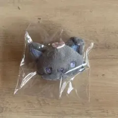 JOCHUM ピーハイ シークレットブローチ