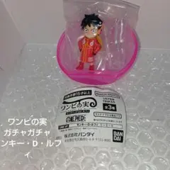 ワンピの実 エッグヘッドver. ルフィ