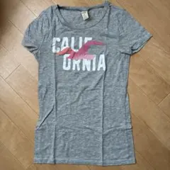 Hollister ホリスター Tシャツ レディース　L グレー ロゴピンクのサムネイル