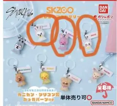 skzoo めじるしアクセサリー アイドル