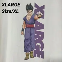 エクストララージ XLARGE ドラゴンボール Tシャツ 半袖 カットソー 悟飯